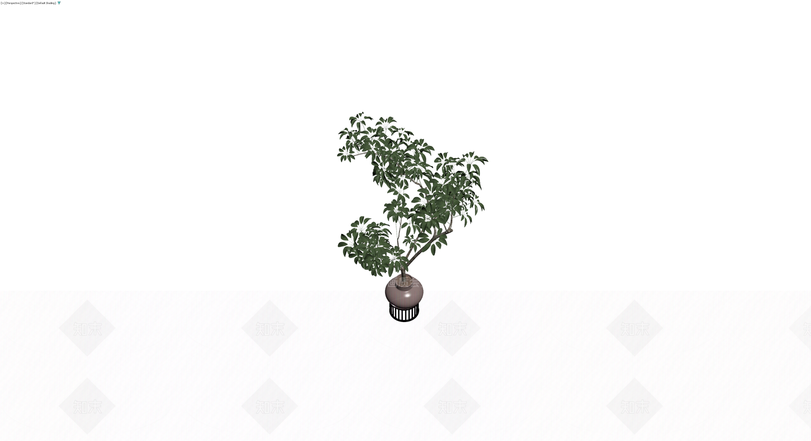 盆栽绿植带盆3D模型下载【ID:1229659607】
