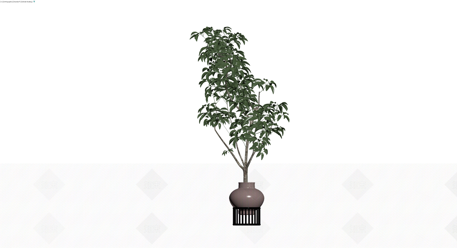 盆栽绿植带盆3D模型下载【ID:1229659607】