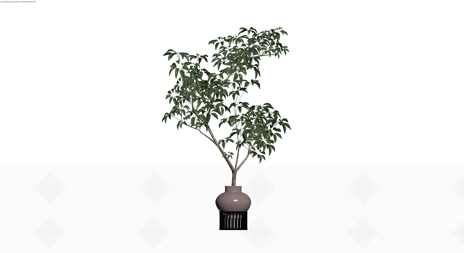 盆栽绿植带盆3D模型下载【ID:1229659607】