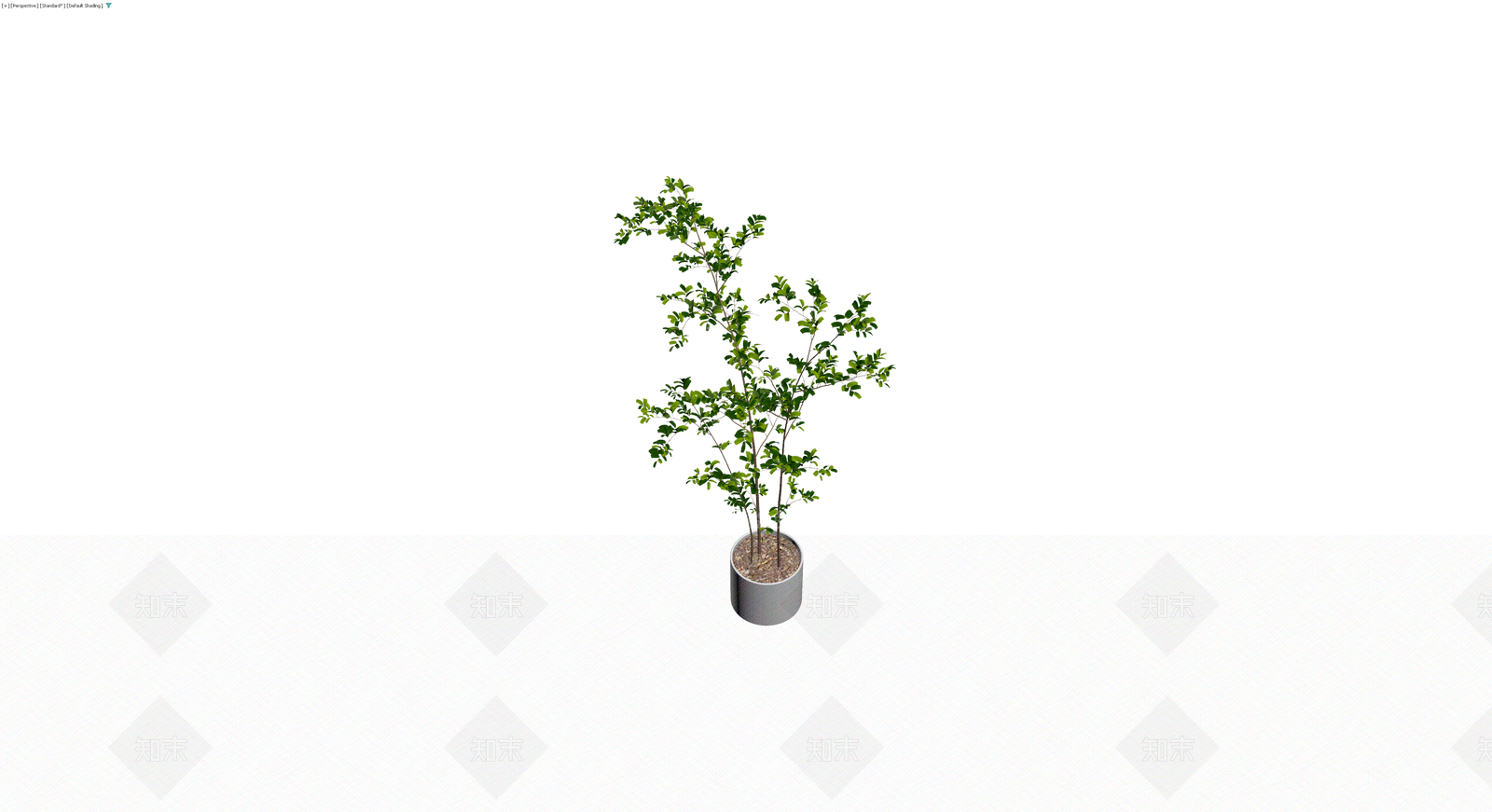 盆栽绿植组合3D模型下载【ID:1229900013】
