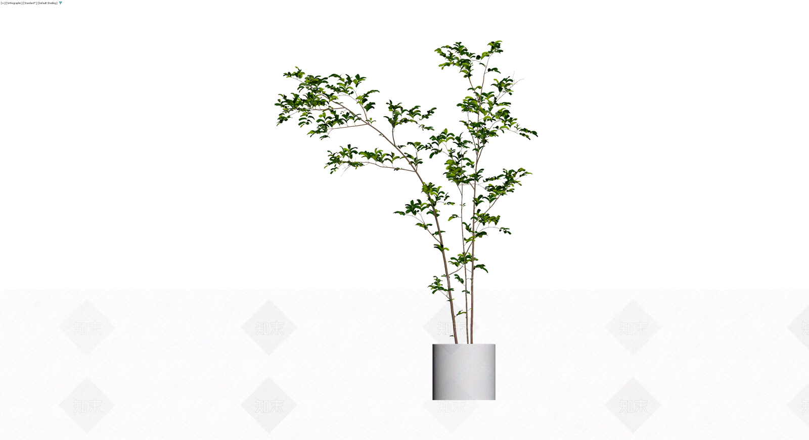盆栽绿植组合3D模型下载【ID:1229900013】