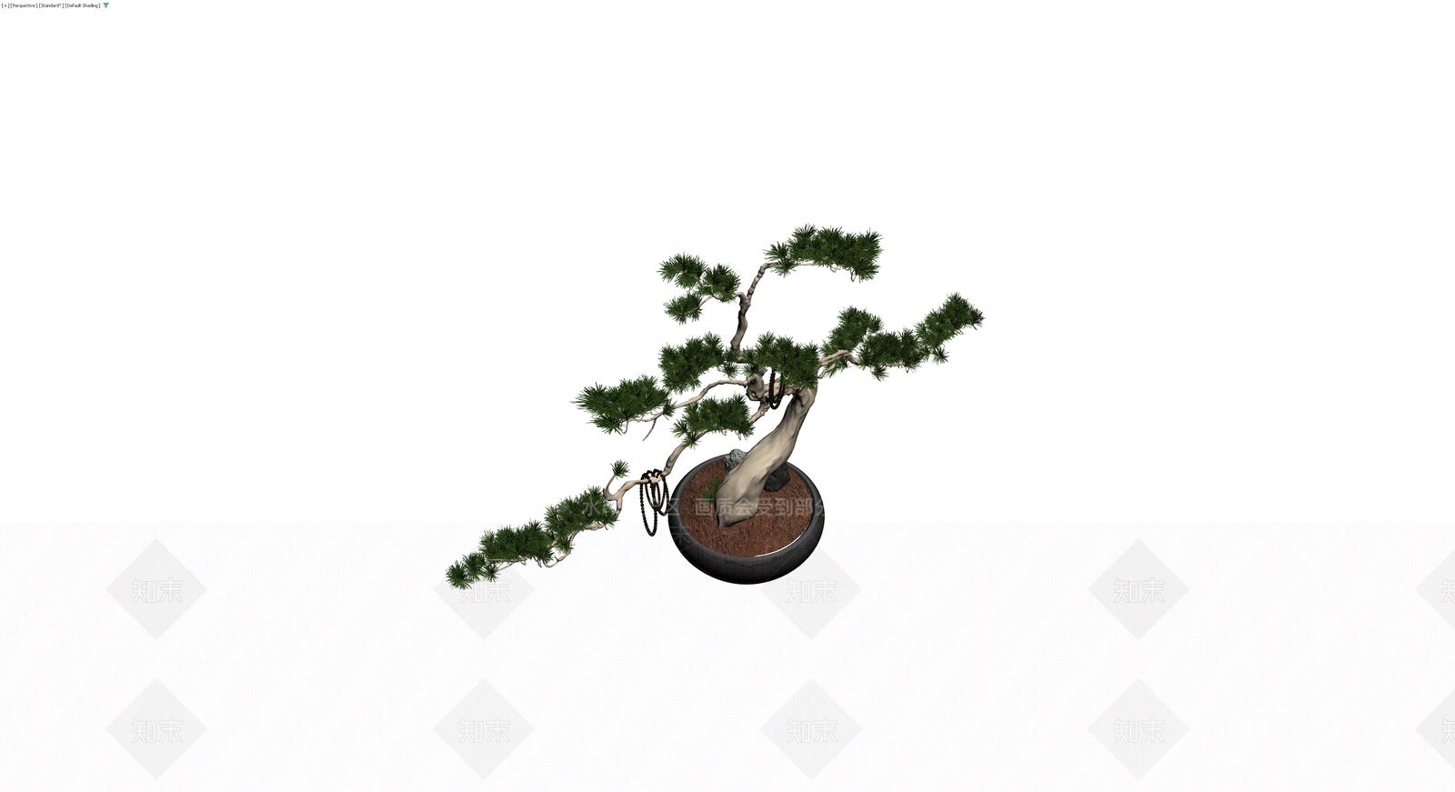 带盆松树盆景模型3D模型下载【ID:1229685501】