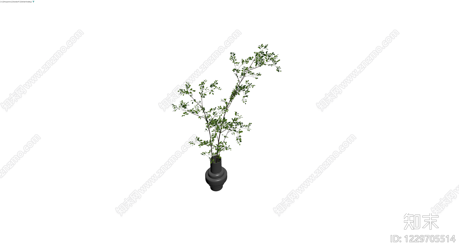 盆栽绿植模型3D模型下载【ID:1229705514】