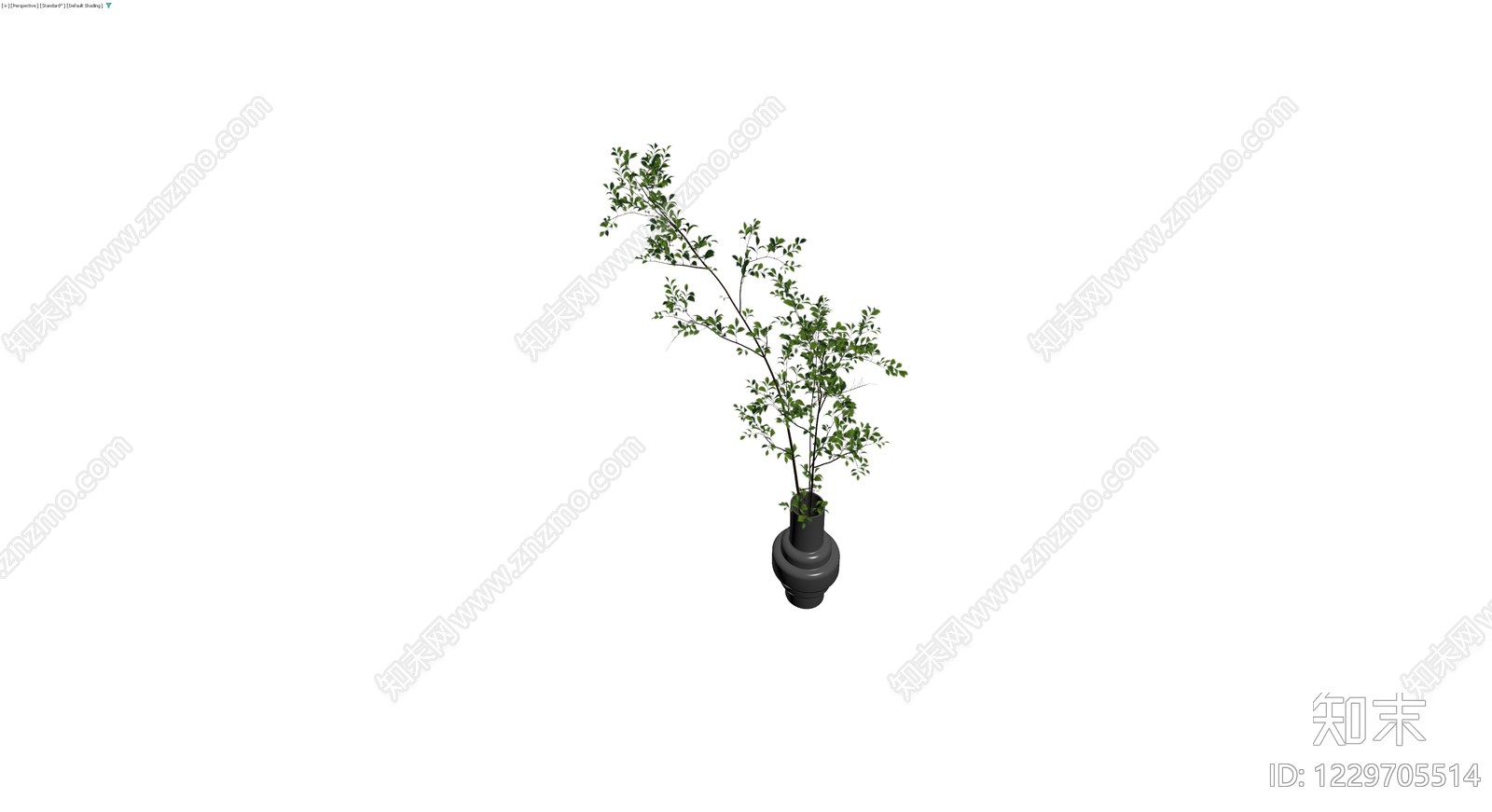 盆栽绿植模型3D模型下载【ID:1229705514】