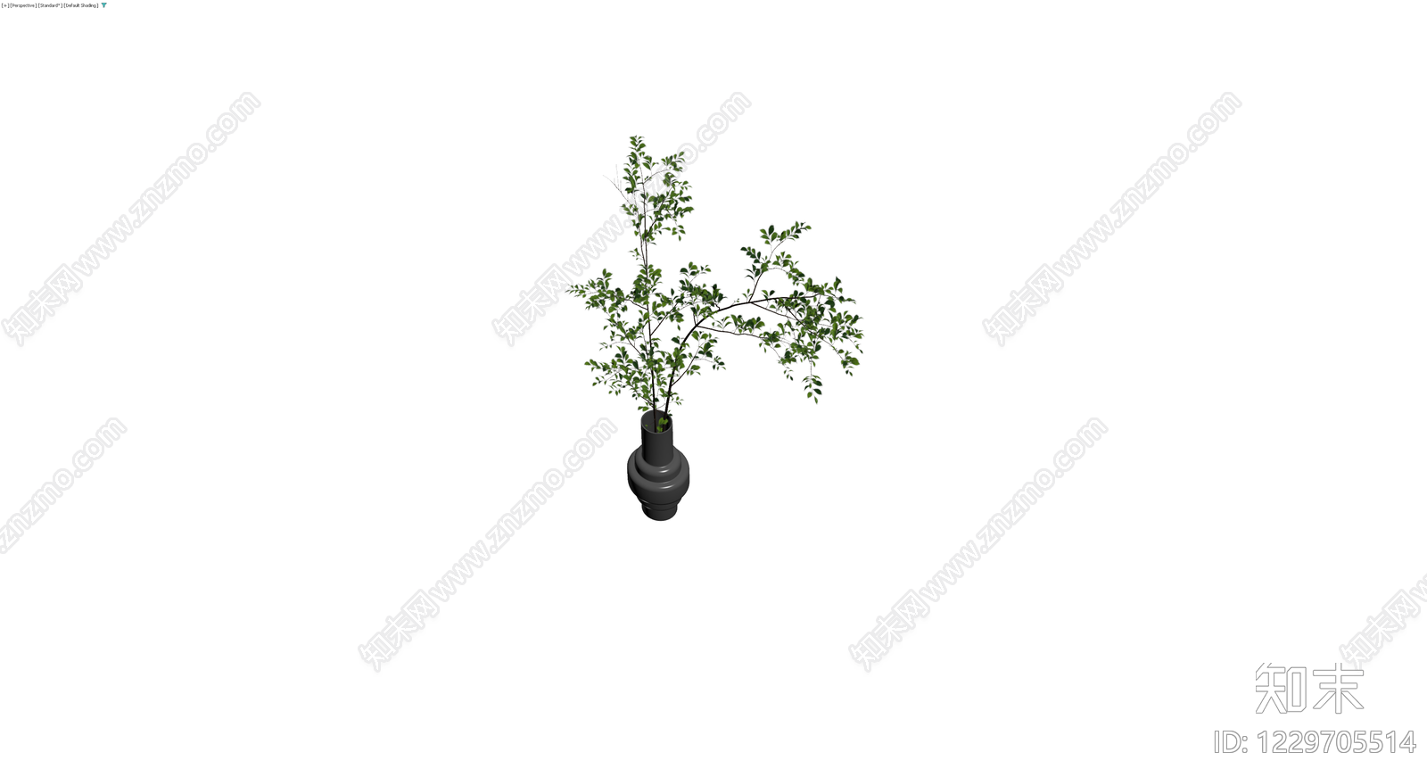 盆栽绿植模型3D模型下载【ID:1229705514】