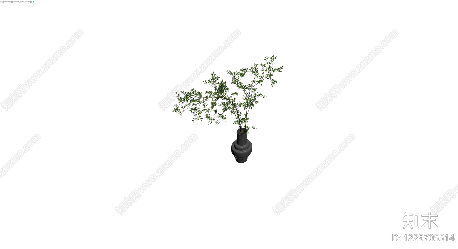 盆栽绿植模型3D模型下载【ID:1229705514】