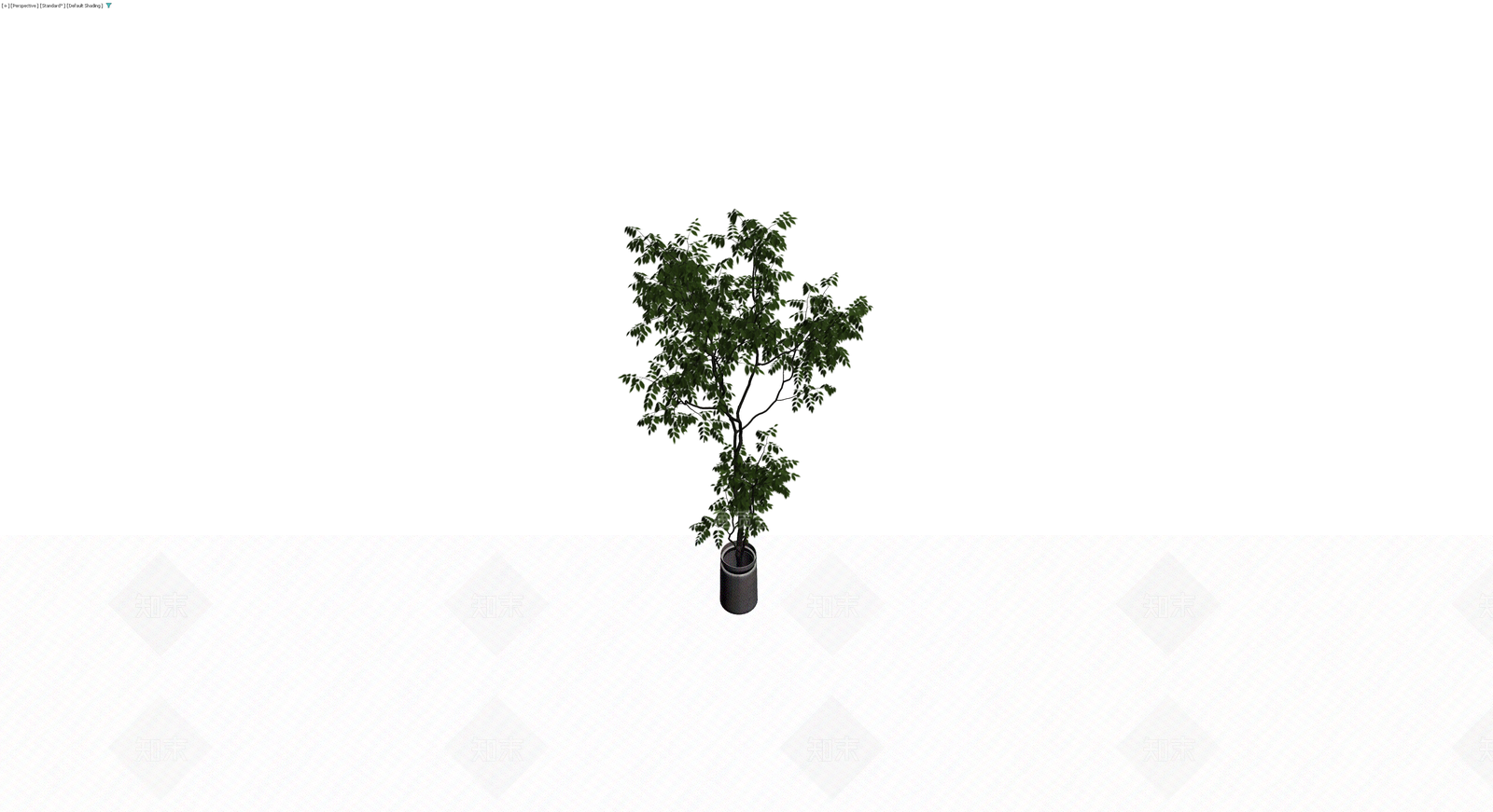 盆栽绿植带盆3D模型下载【ID:1230133922】