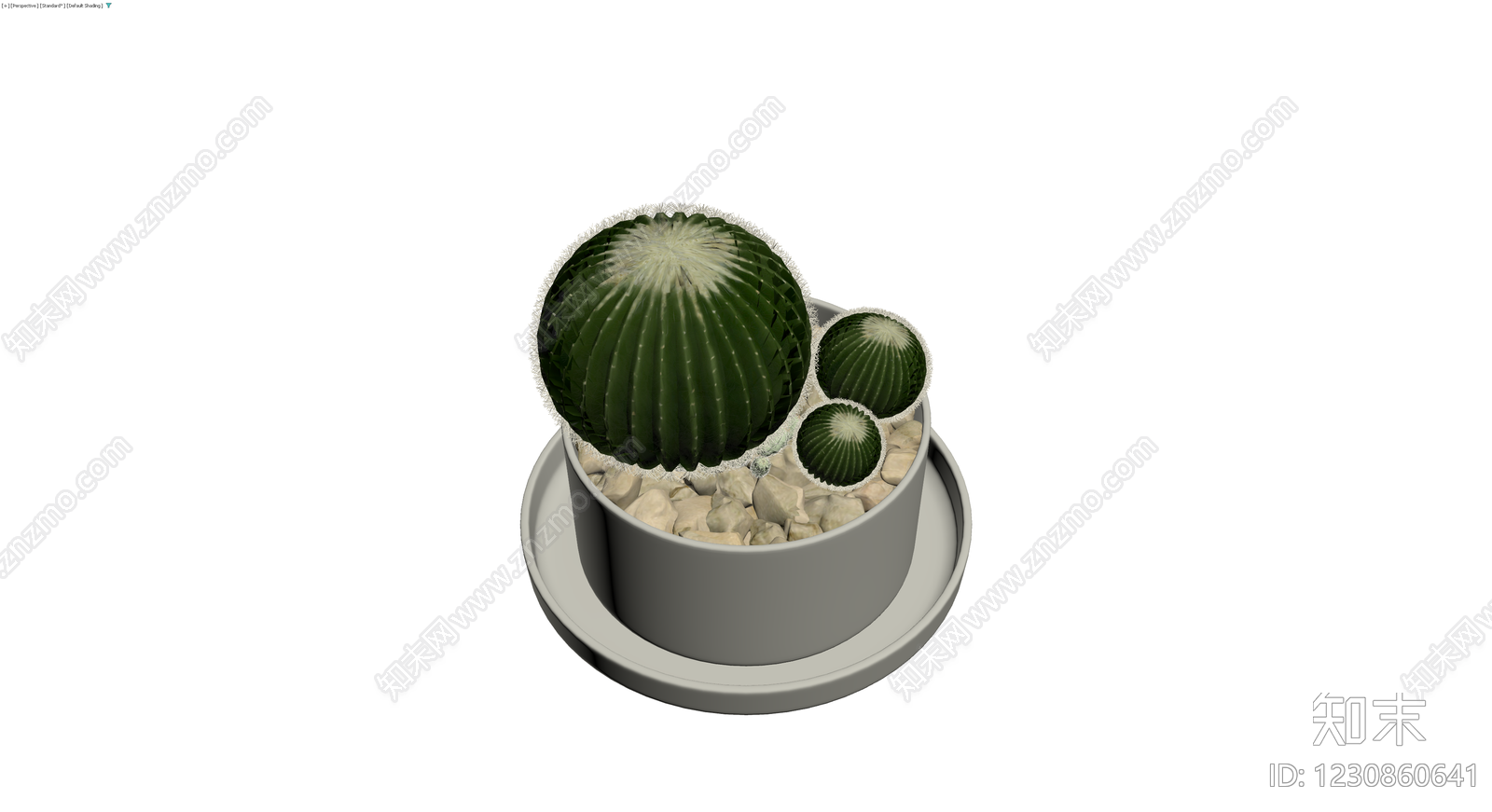 盆栽仙人掌组合3D模型下载【ID:1230860641】