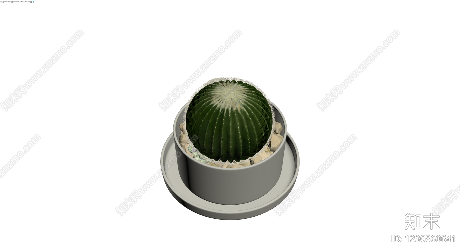 盆栽仙人掌组合3D模型下载【ID:1230860641】