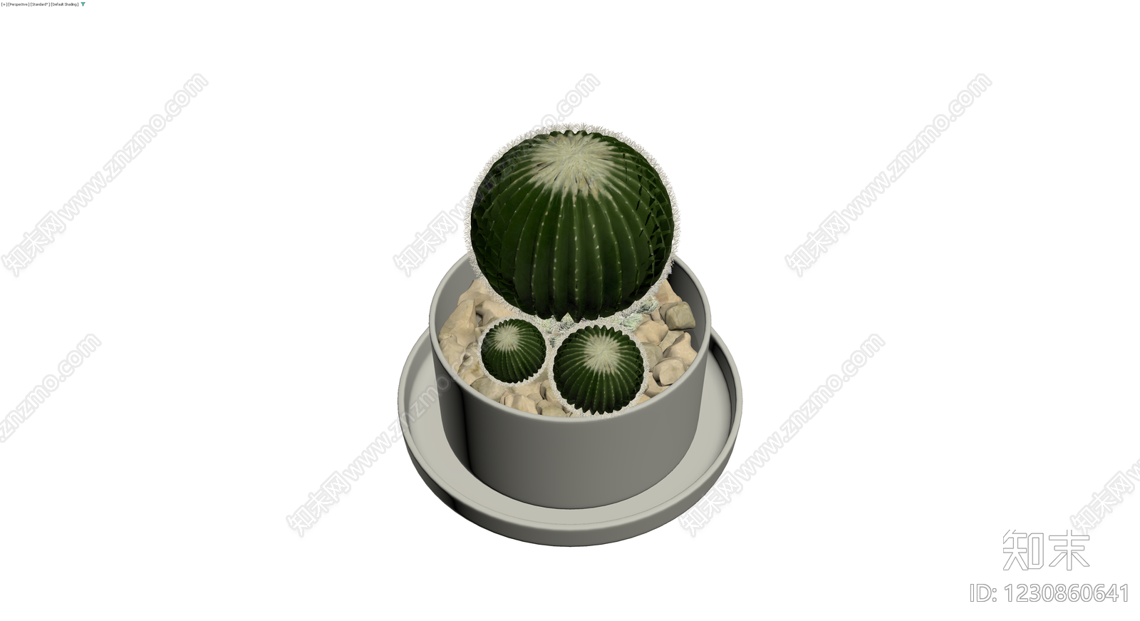 盆栽仙人掌组合3D模型下载【ID:1230860641】