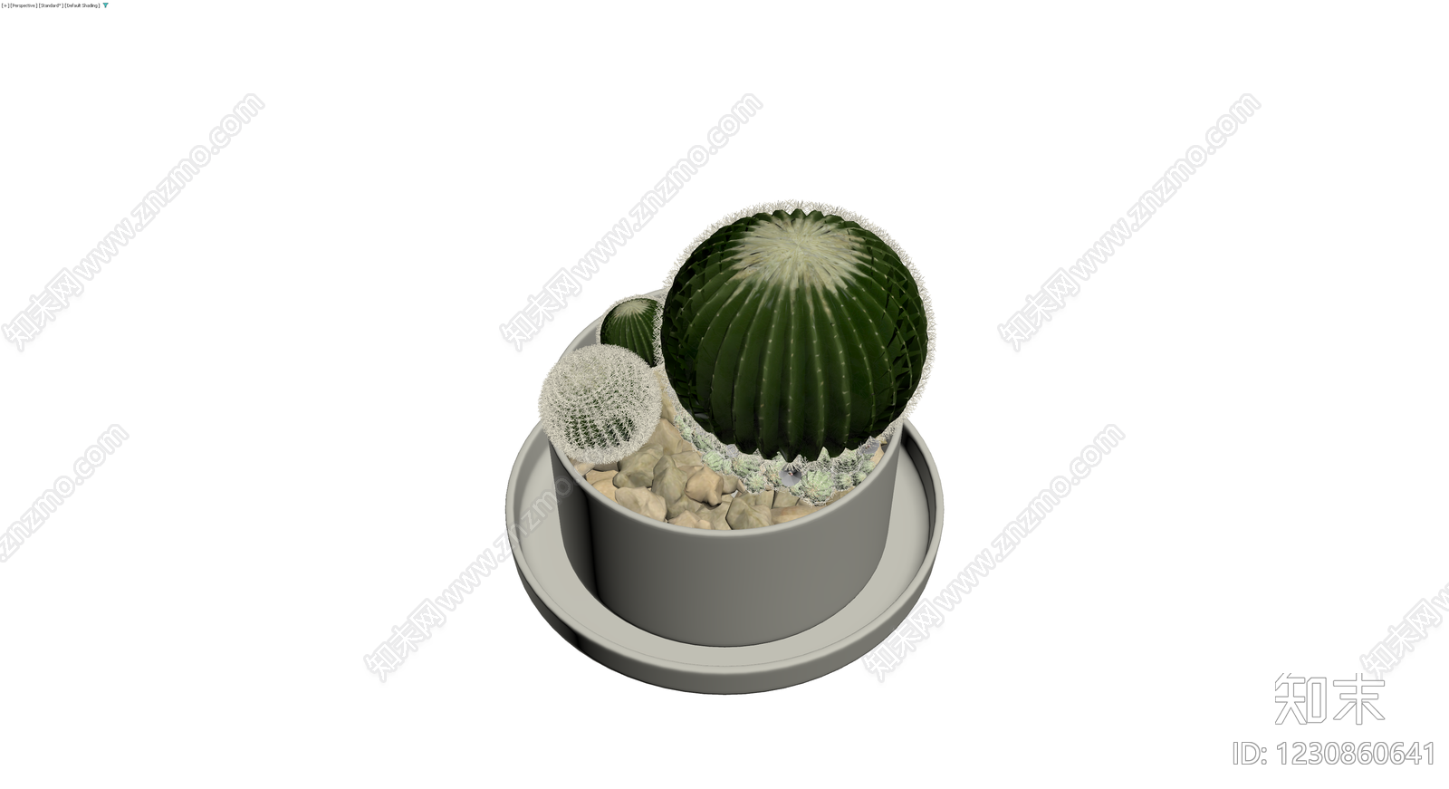 盆栽仙人掌组合3D模型下载【ID:1230860641】