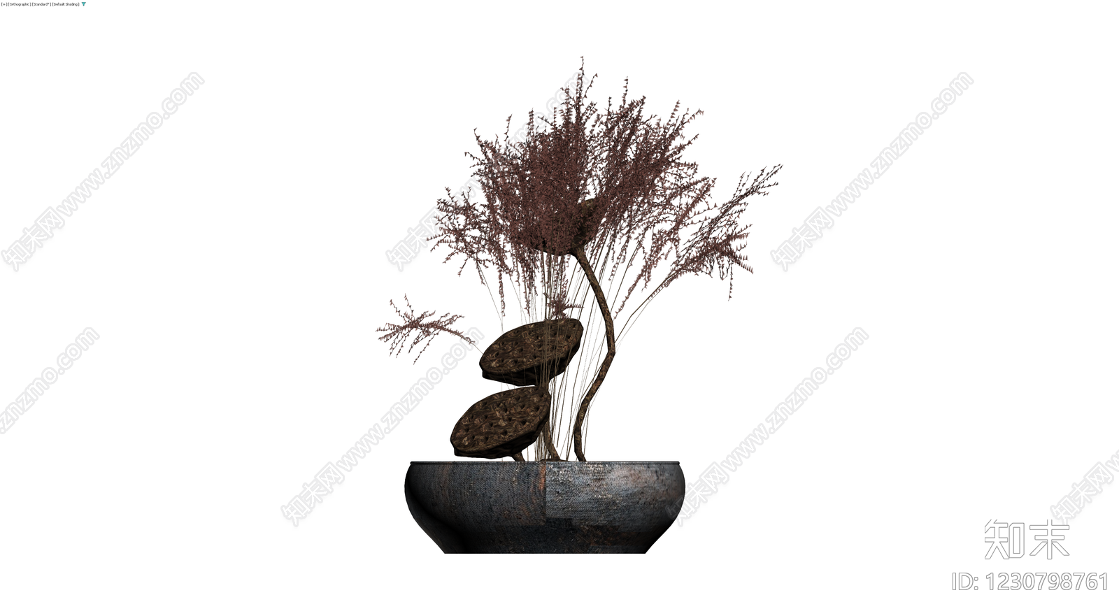 盆栽植物带莲蓬装饰3D模型下载【ID:1230798761】