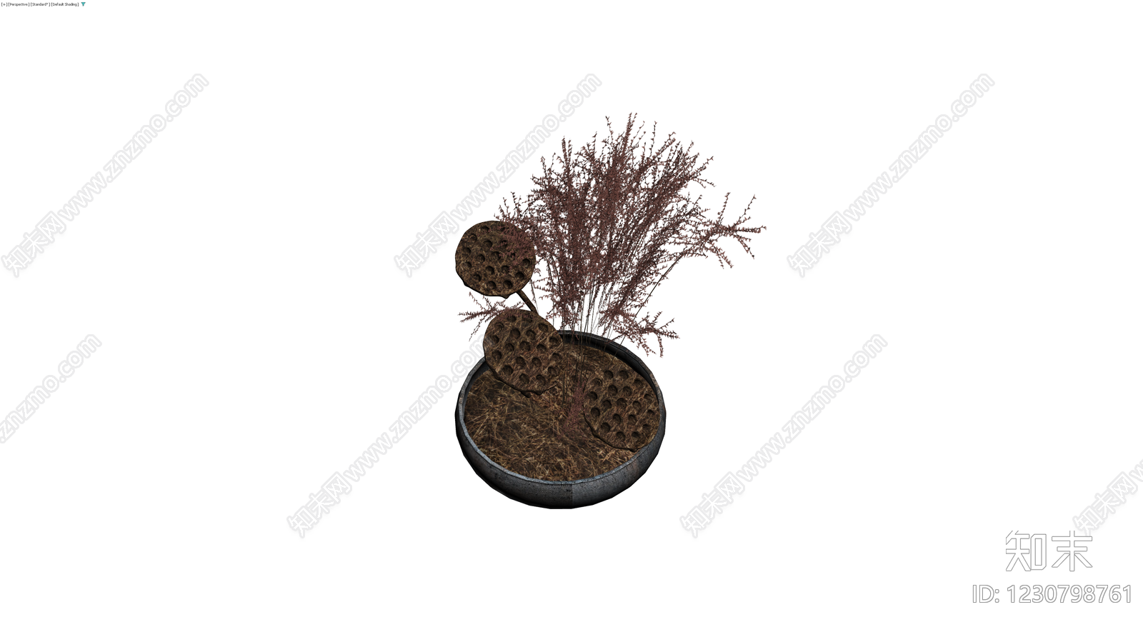 盆栽植物带莲蓬装饰3D模型下载【ID:1230798761】