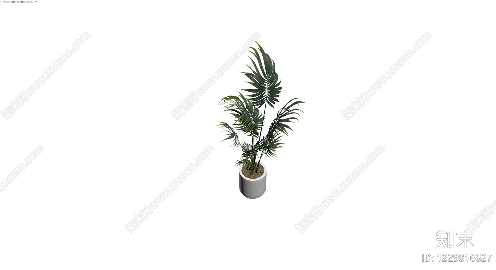 盆栽绿植3D模型下载【ID:1229816627】