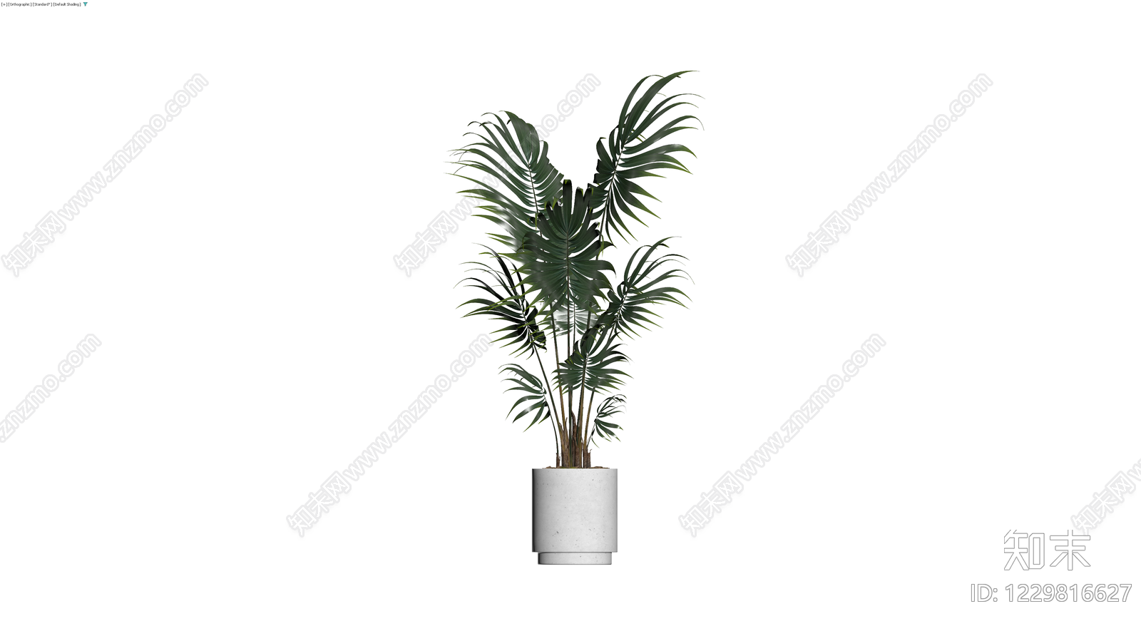 盆栽绿植3D模型下载【ID:1229816627】