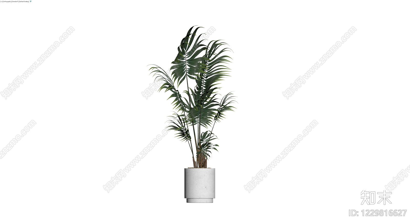 盆栽绿植3D模型下载【ID:1229816627】