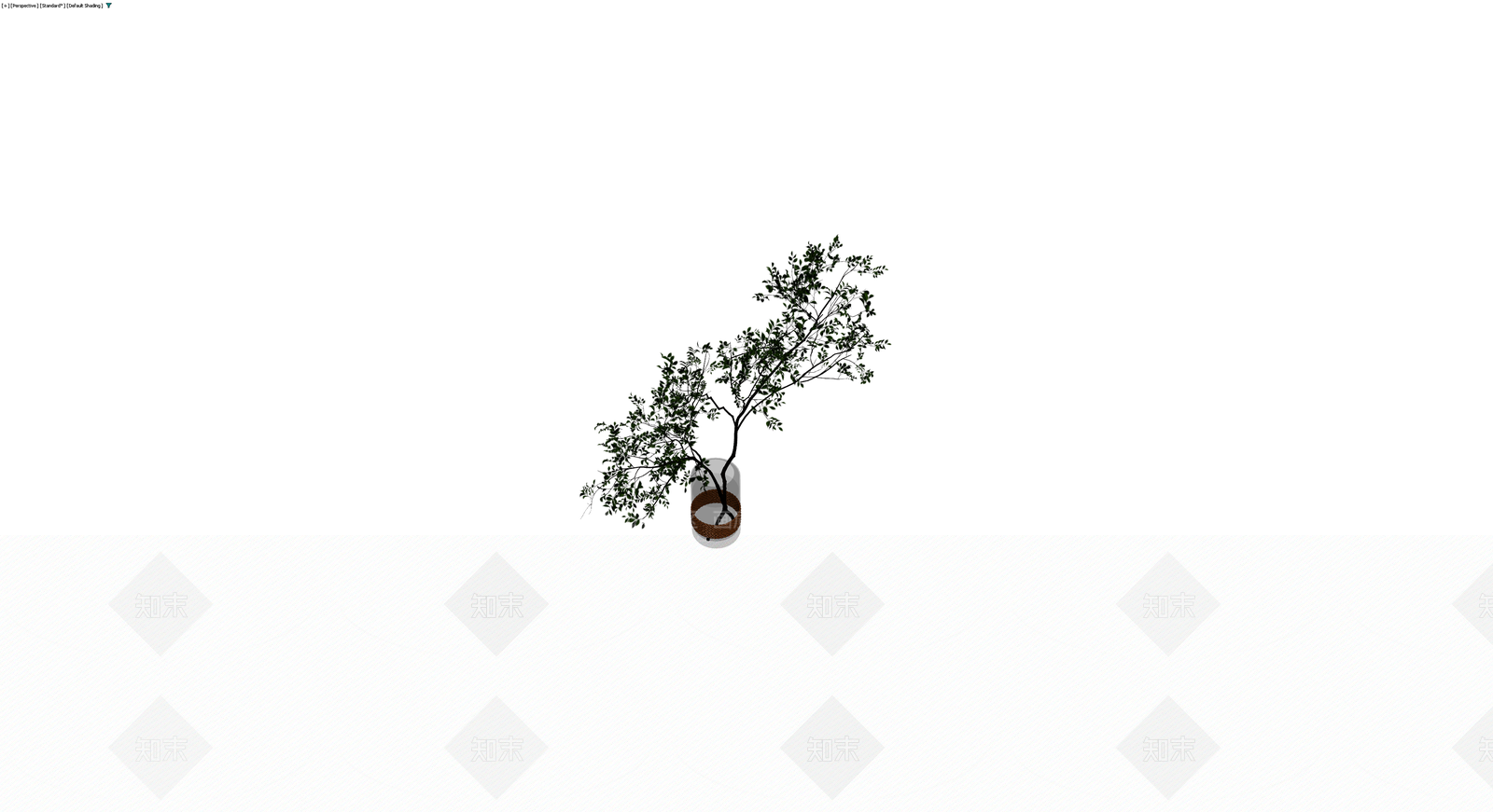 盆栽绿植模型3D模型下载【ID:1230643405】