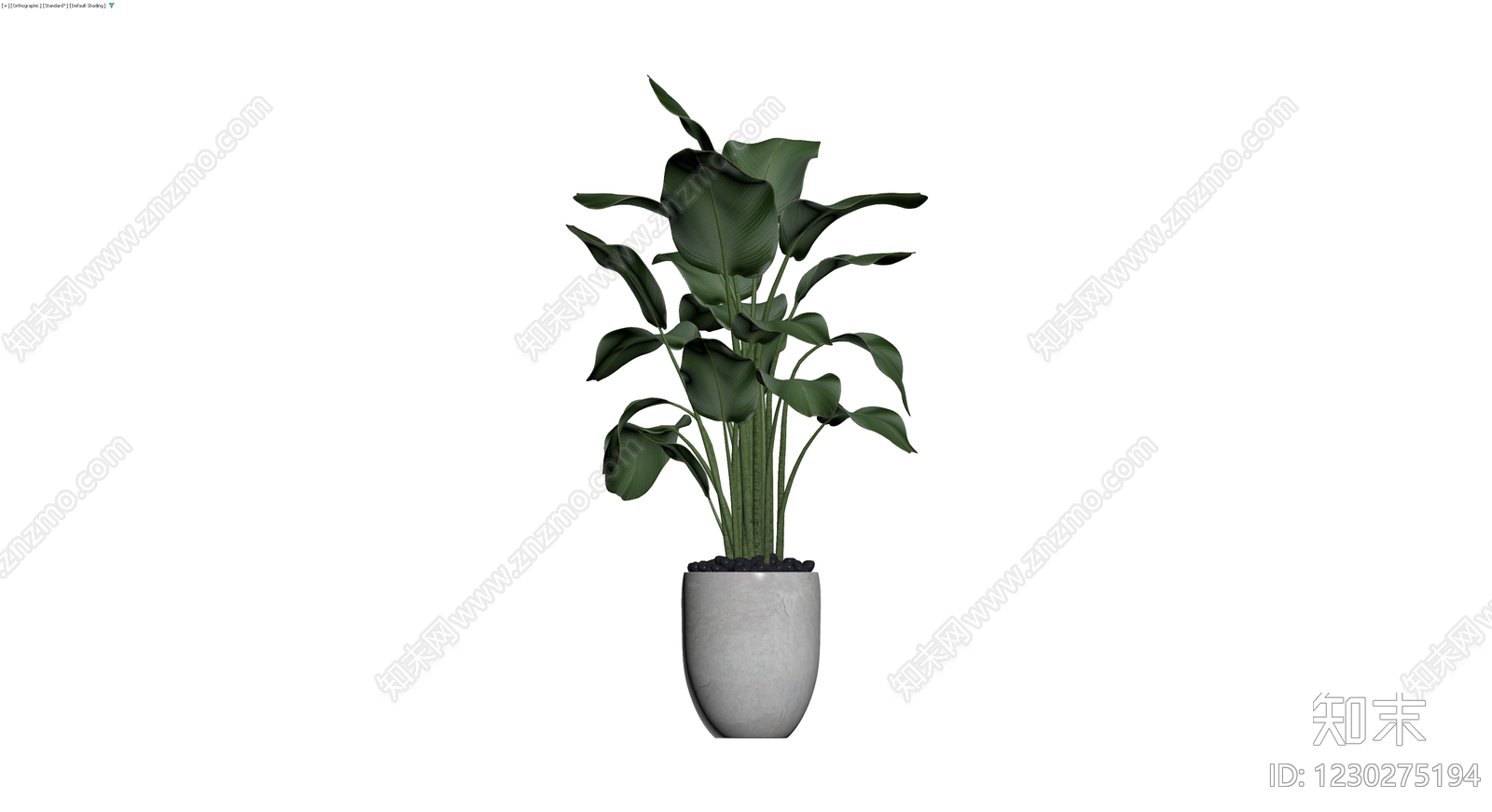灰色花盆绿植盆栽3D模型下载【ID:1230275194】