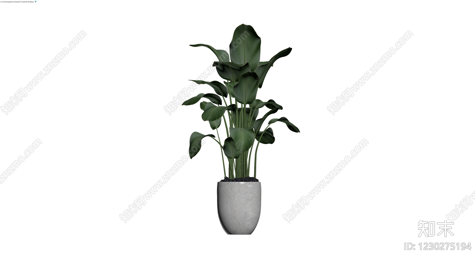 灰色花盆绿植盆栽3D模型下载【ID:1230275194】