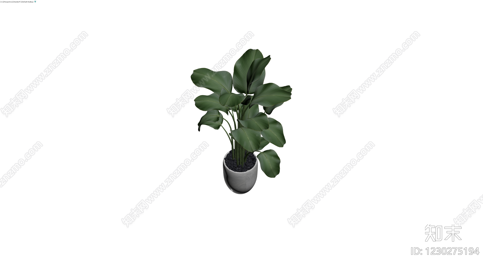 灰色花盆绿植盆栽3D模型下载【ID:1230275194】