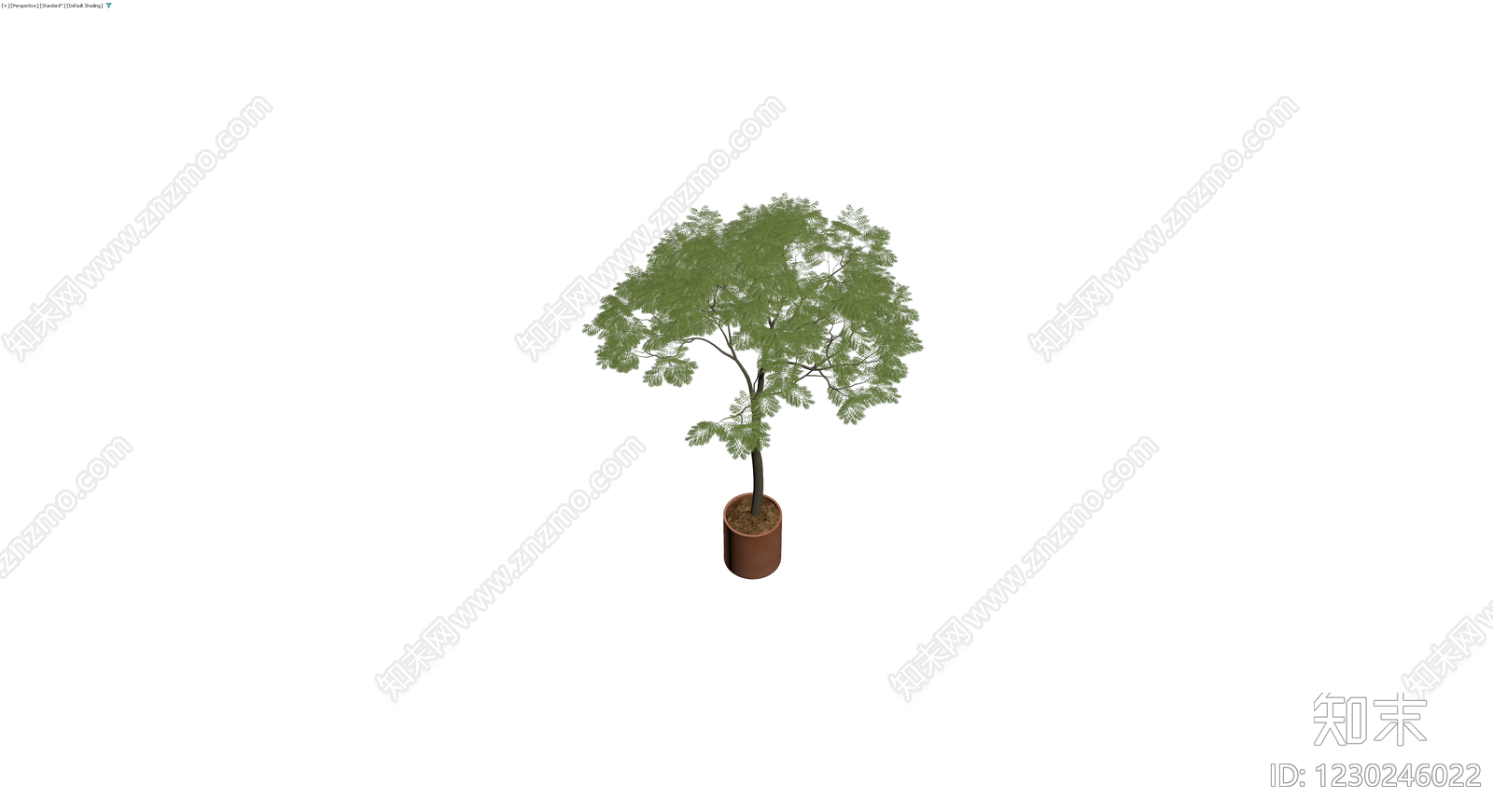 盆栽仿真绿植3D模型下载【ID:1230246022】