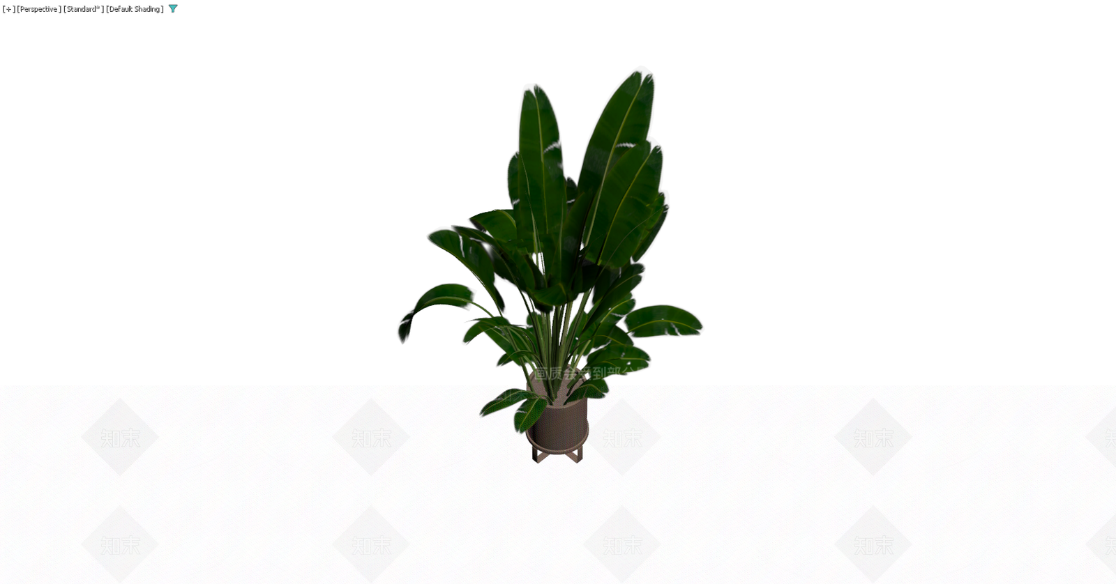 盆栽绿植带盆3D模型下载【ID:1229591513】