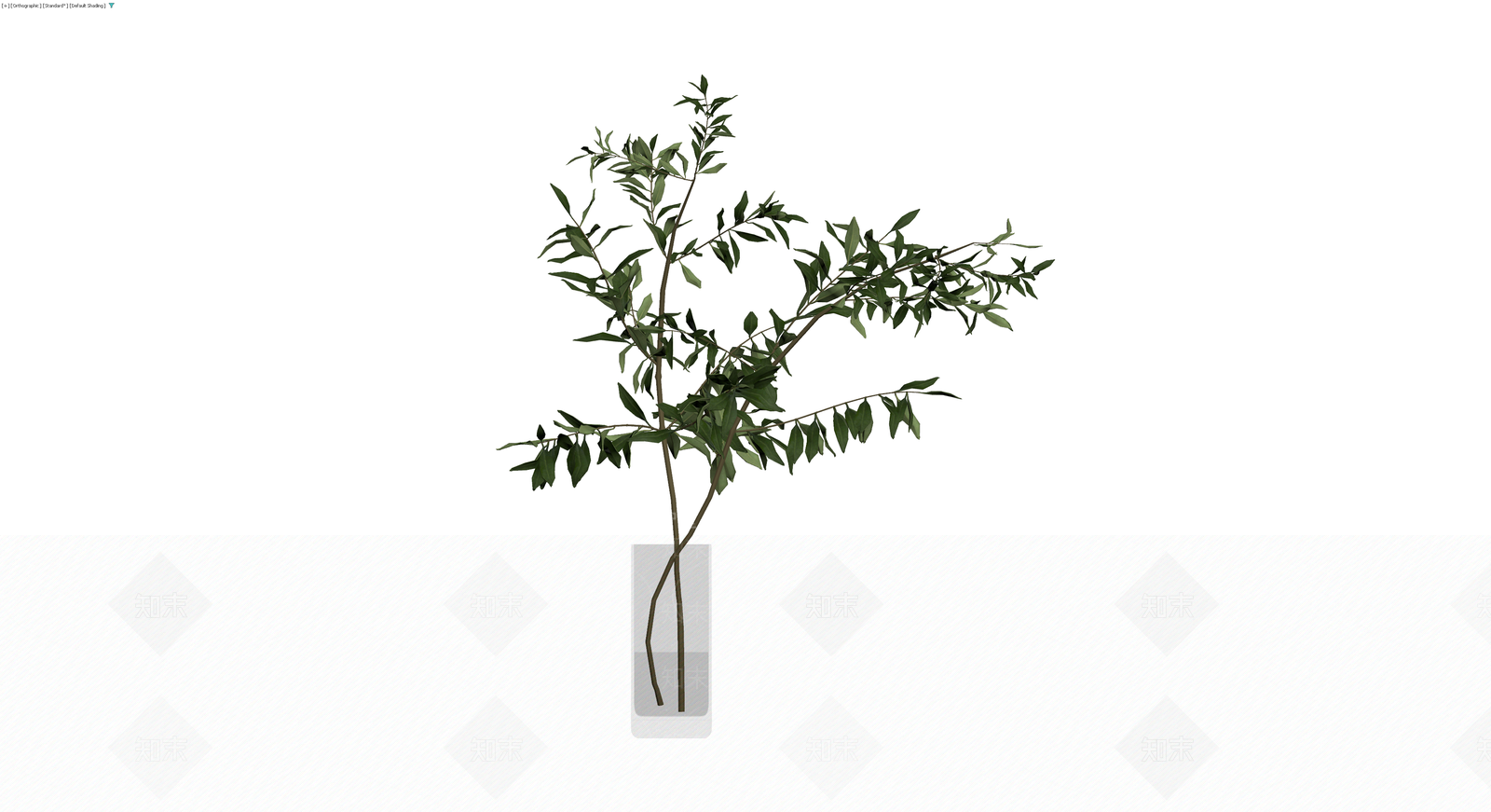玻璃瓶插橄榄枝3D模型下载【ID:1230418896】