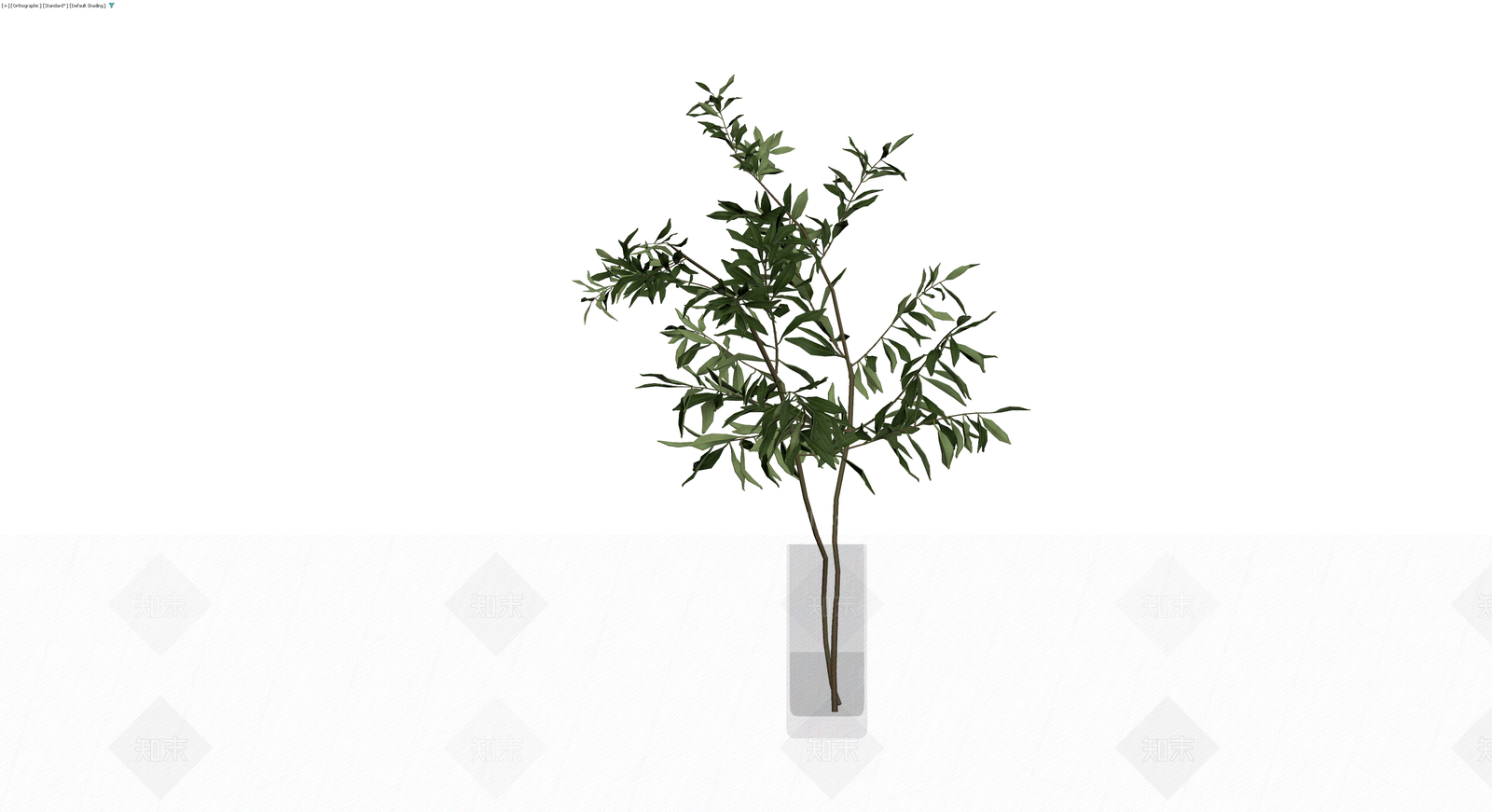 玻璃瓶插橄榄枝3D模型下载【ID:1230418896】