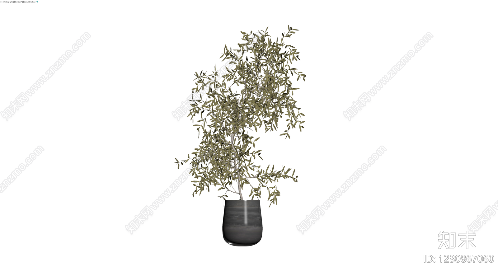 盆栽橄榄树3D模型下载【ID:1230867060】