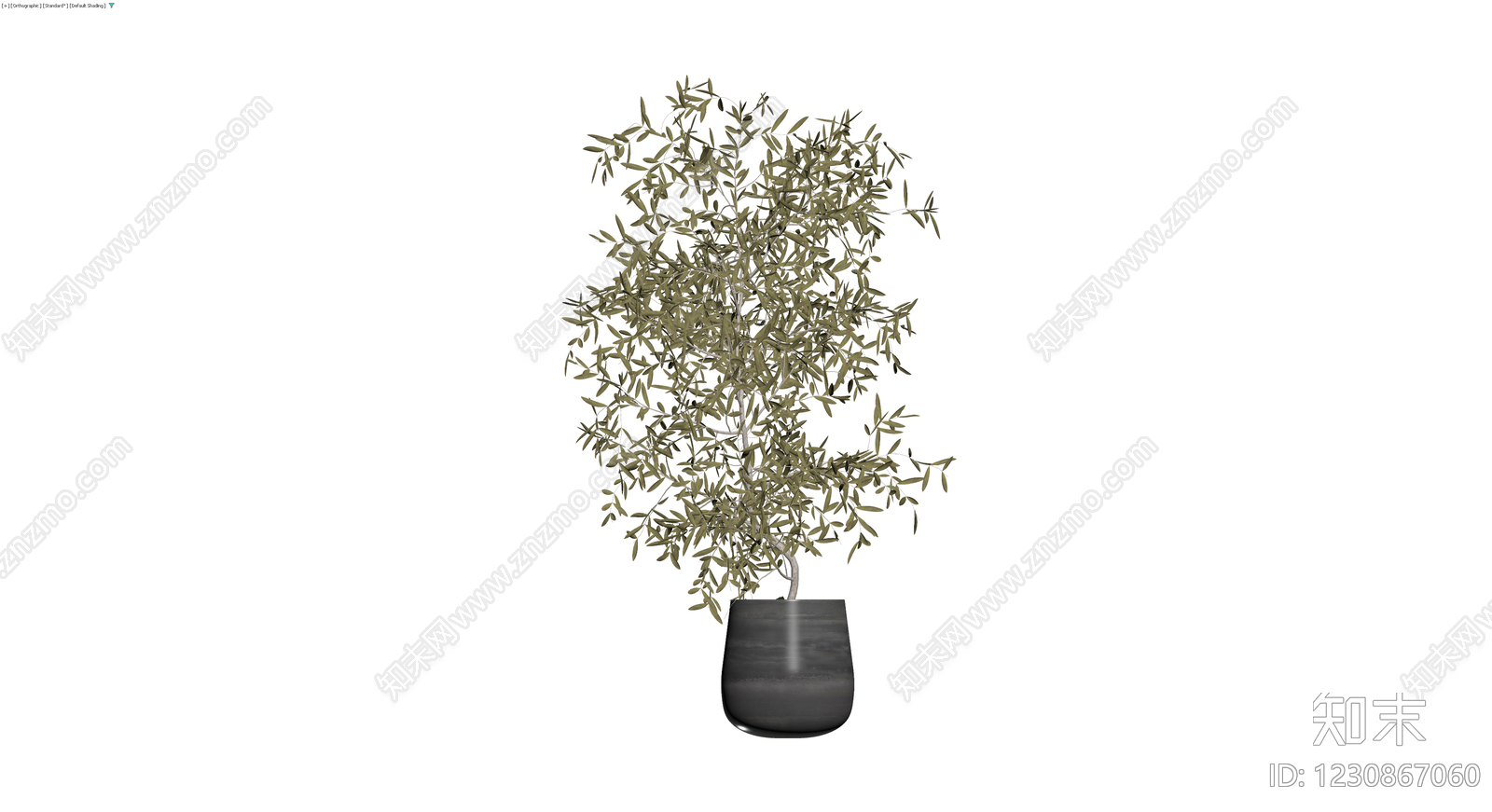 盆栽橄榄树3D模型下载【ID:1230867060】