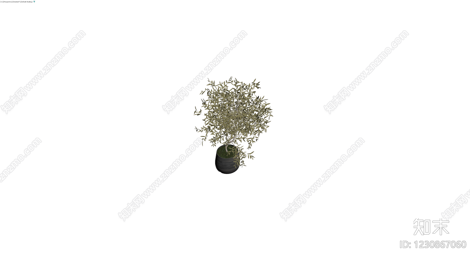 盆栽橄榄树3D模型下载【ID:1230867060】