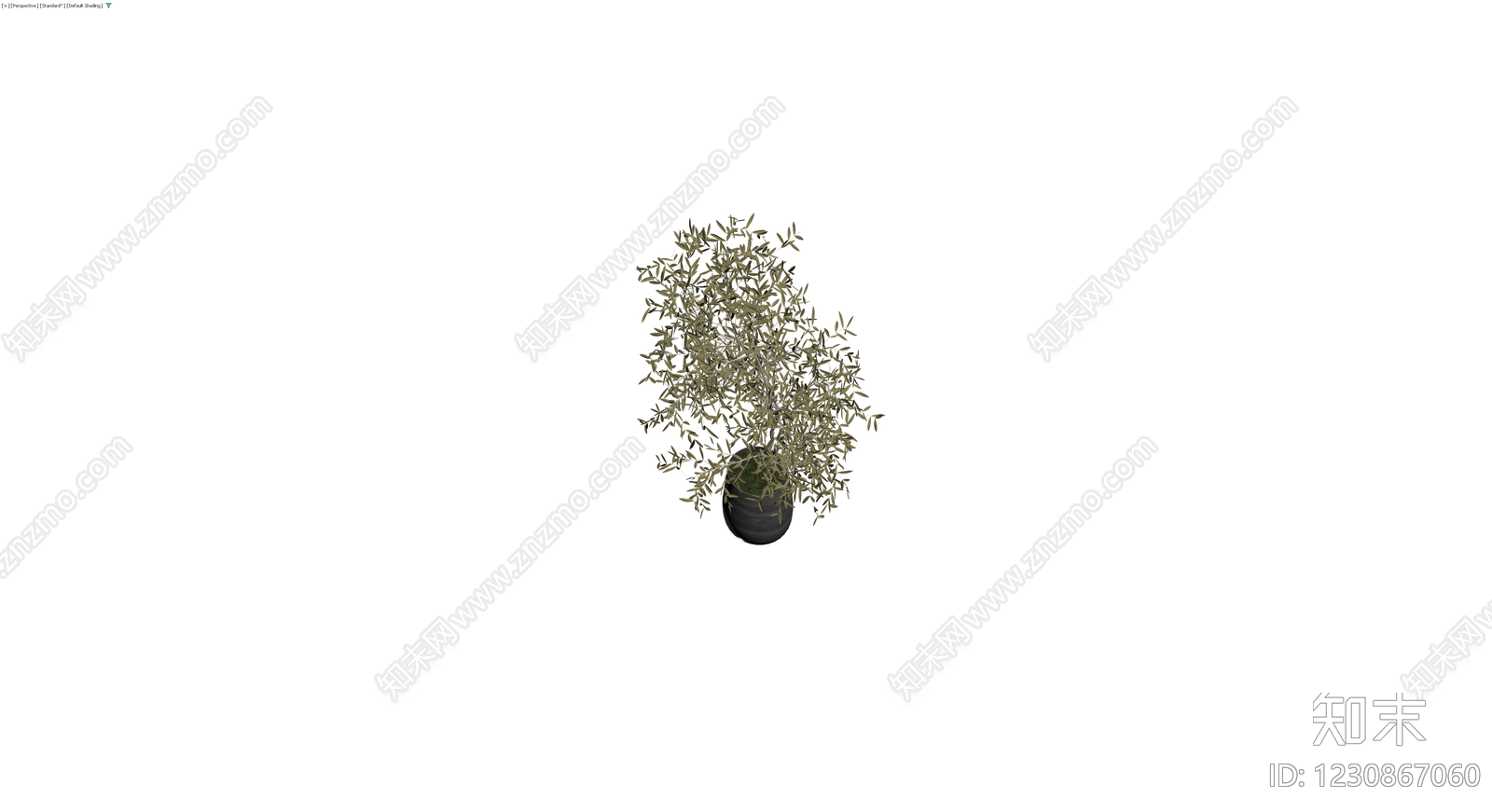 盆栽橄榄树3D模型下载【ID:1230867060】