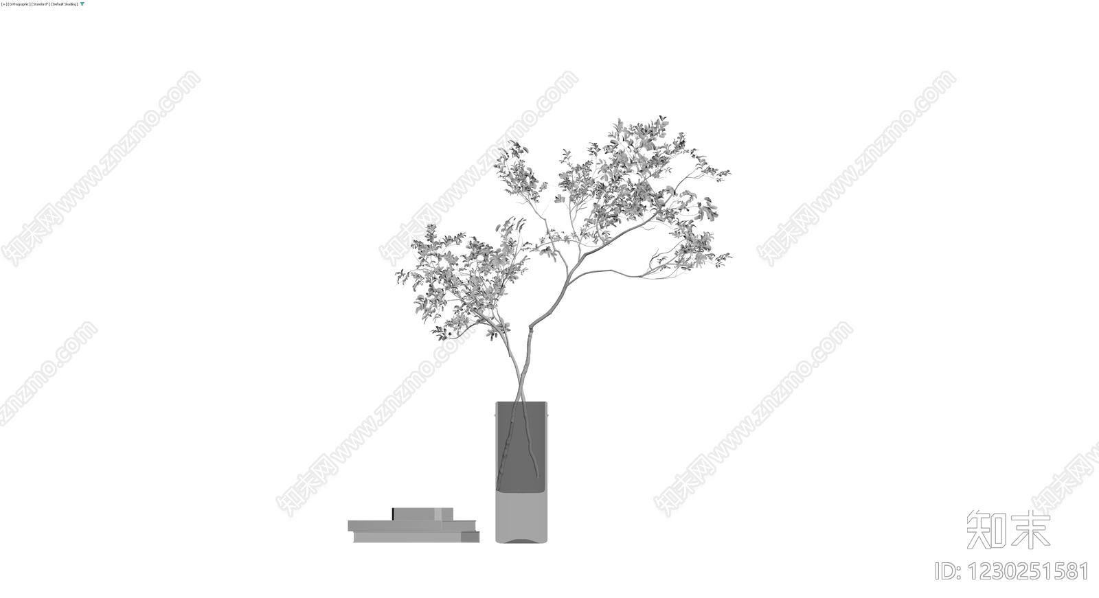 盆栽植物配花瓶3D模型下载【ID:1230251581】