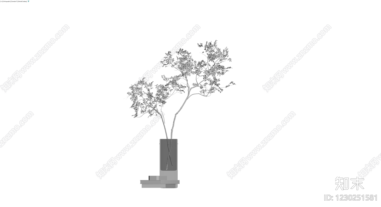 盆栽植物配花瓶3D模型下载【ID:1230251581】