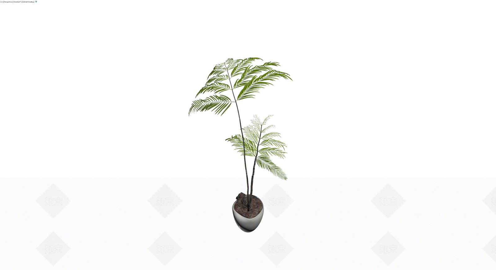 盆栽蕨类植物模型3D模型下载【ID:1229915289】