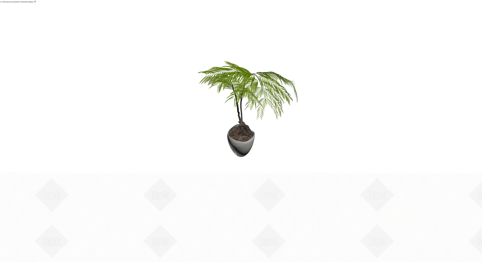 盆栽蕨类植物模型3D模型下载【ID:1229915289】