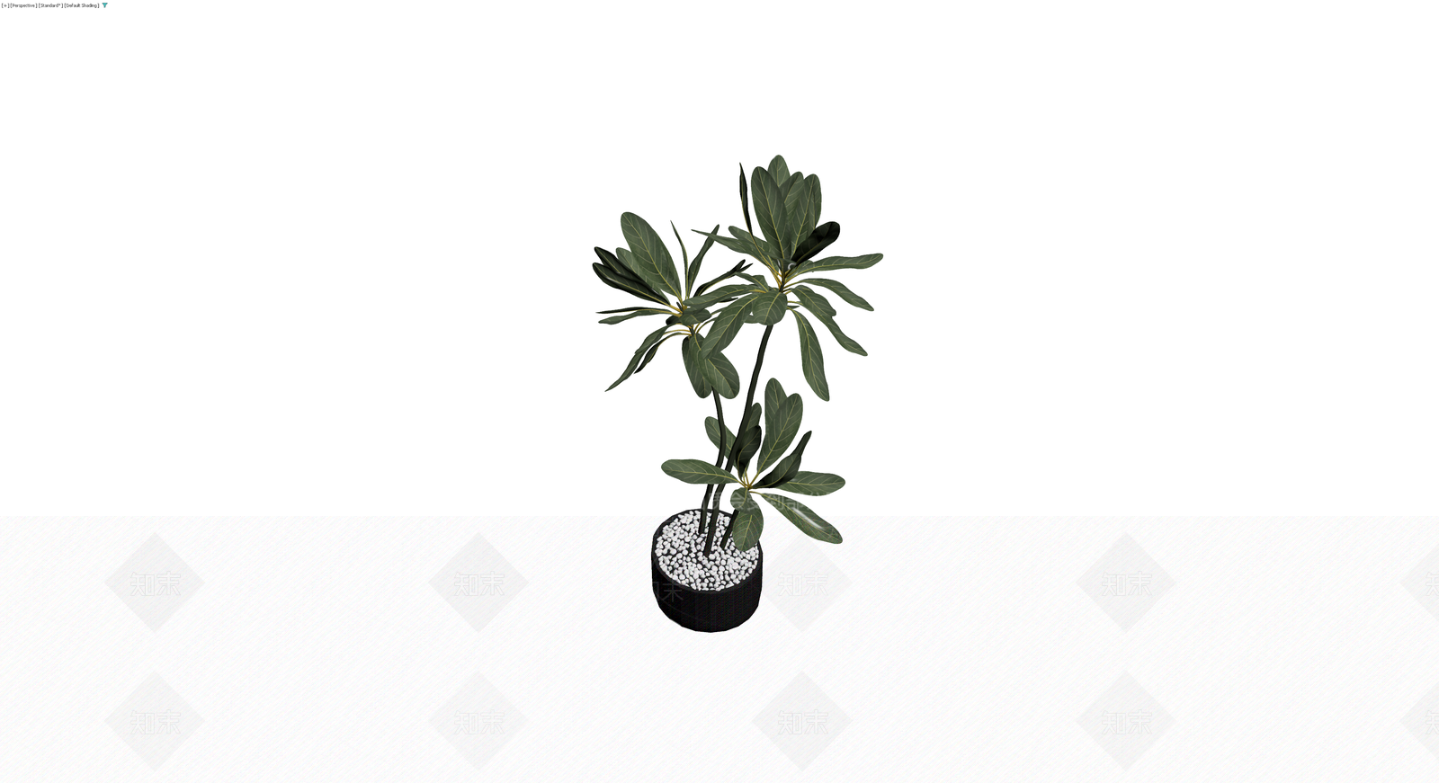 盆栽绿植（带盆）3D模型下载【ID:1230371166】