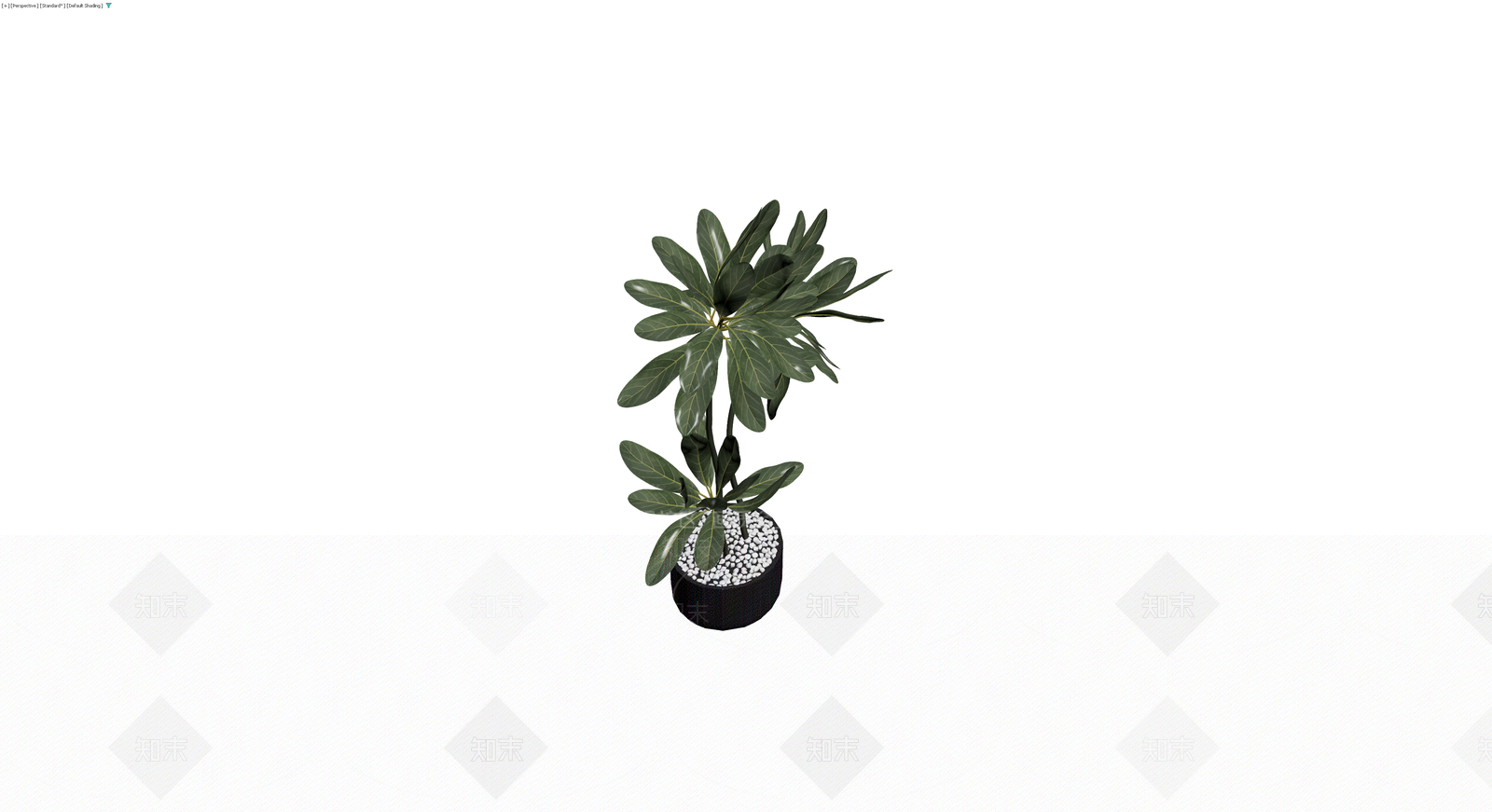 盆栽绿植（带盆）3D模型下载【ID:1230371166】