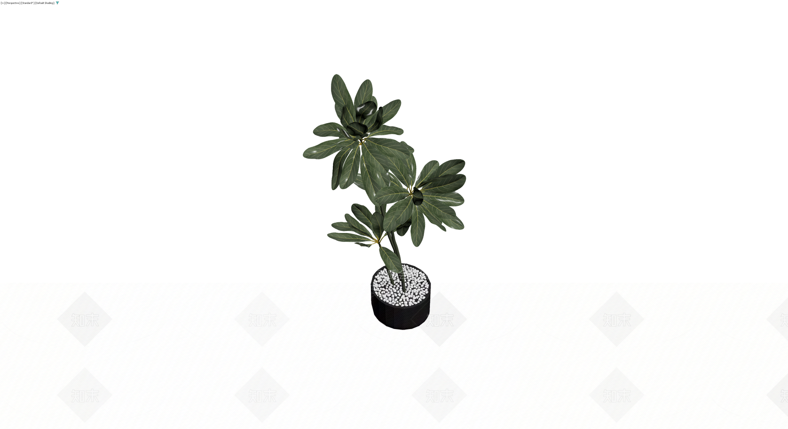 盆栽绿植（带盆）3D模型下载【ID:1230371166】