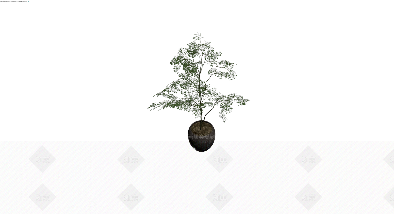 深色花盆绿植盆栽3D模型下载【ID:1229980137】