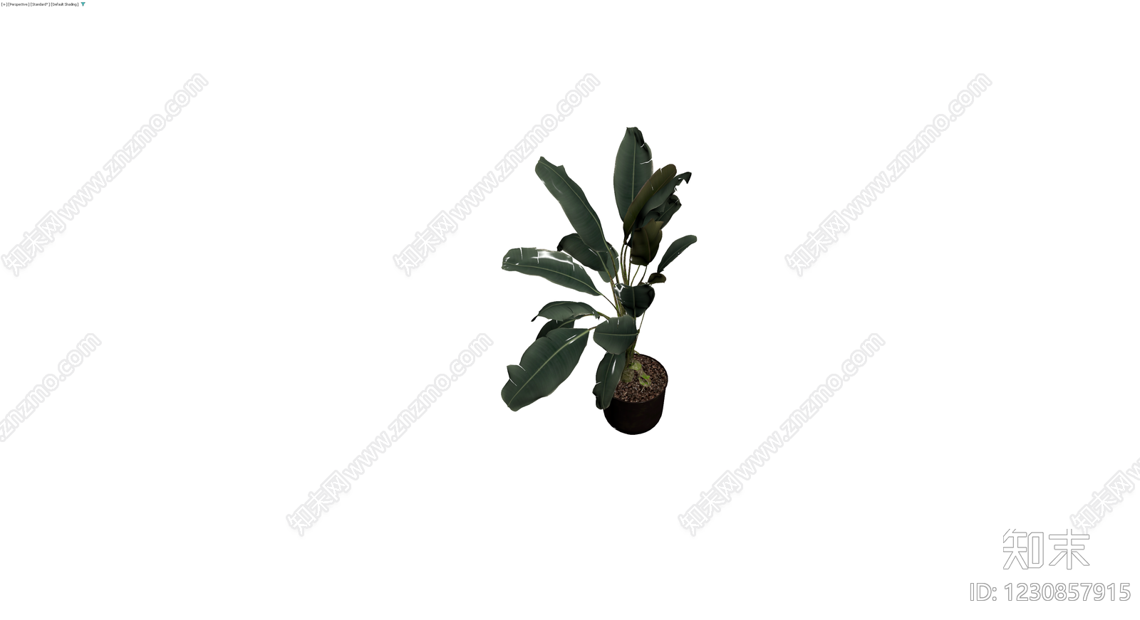 带盆大型盆栽植物3D模型下载【ID:1230857915】