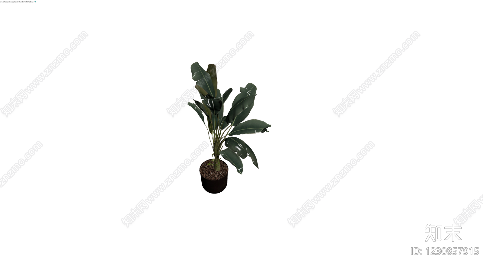 带盆大型盆栽植物3D模型下载【ID:1230857915】