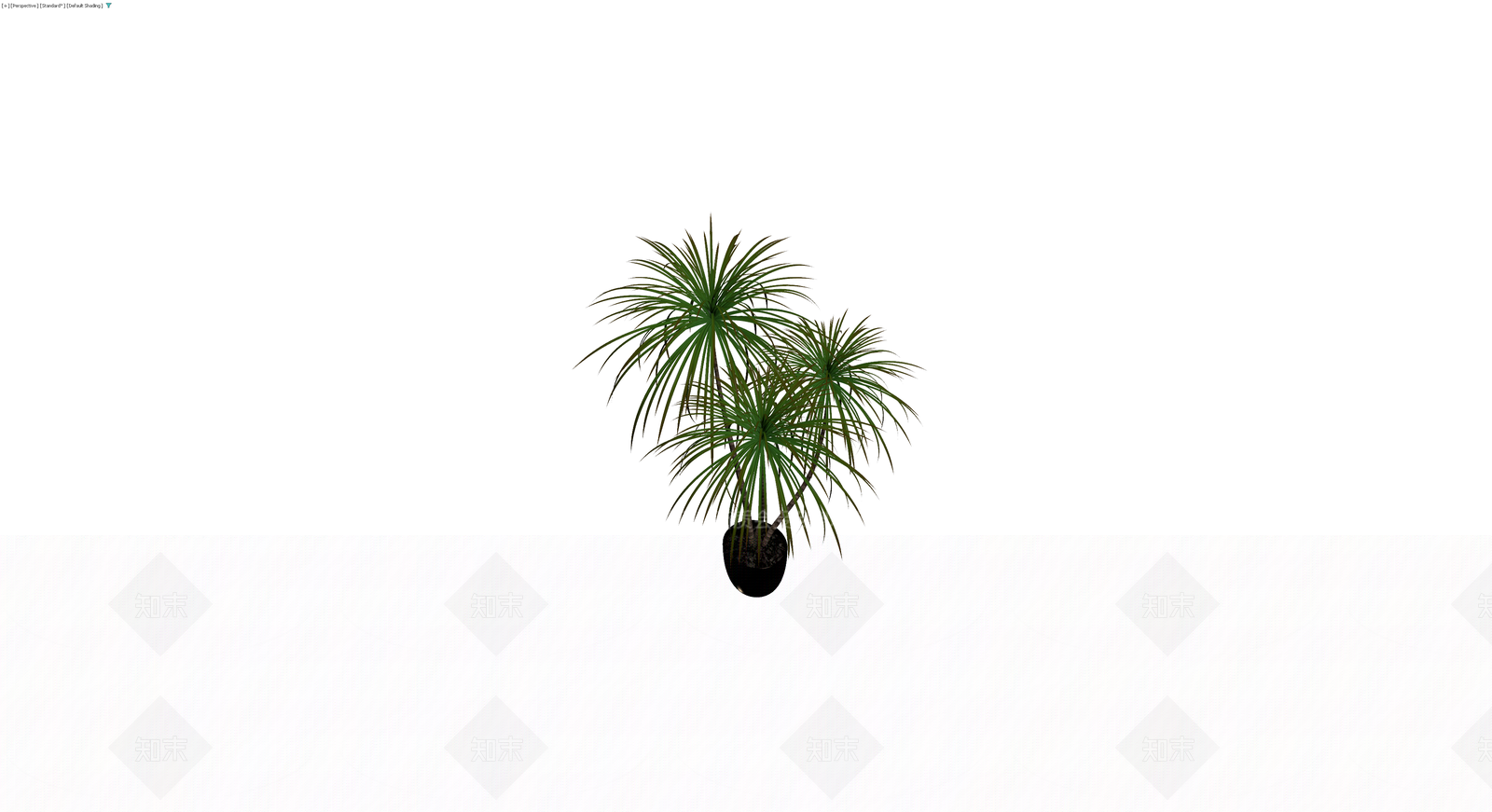 三杆盆栽植物3D模型下载【ID:1230580897】