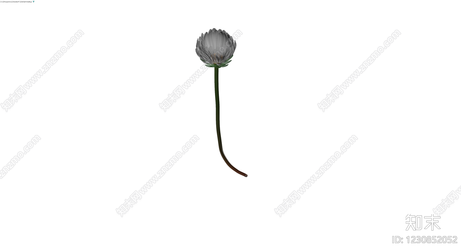 白色花朵带茎模型3D模型下载【ID:1230852052】