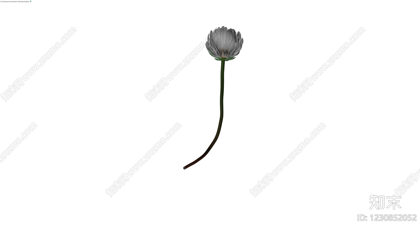 白色花朵带茎模型3D模型下载【ID:1230852052】