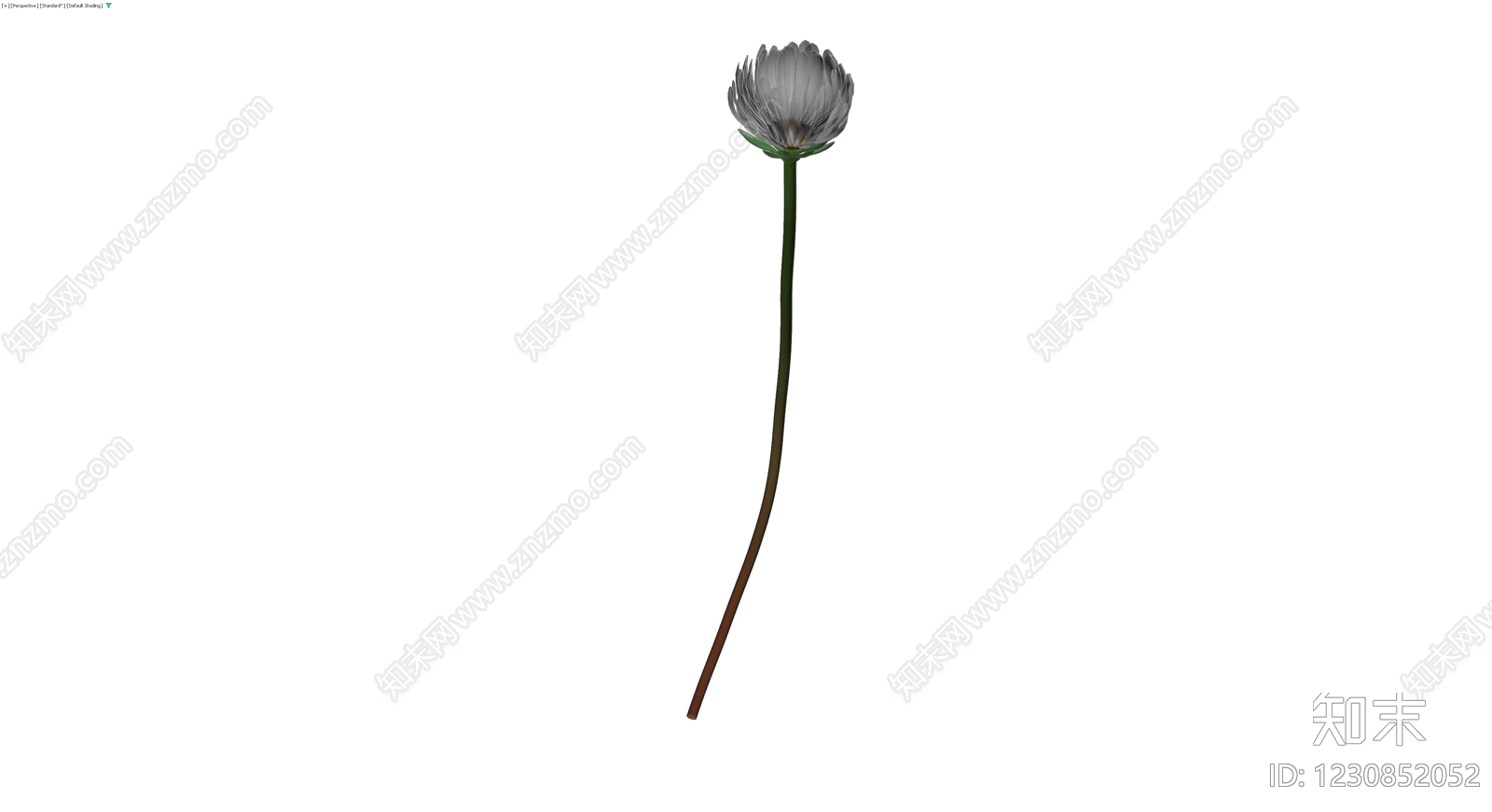 白色花朵带茎模型3D模型下载【ID:1230852052】