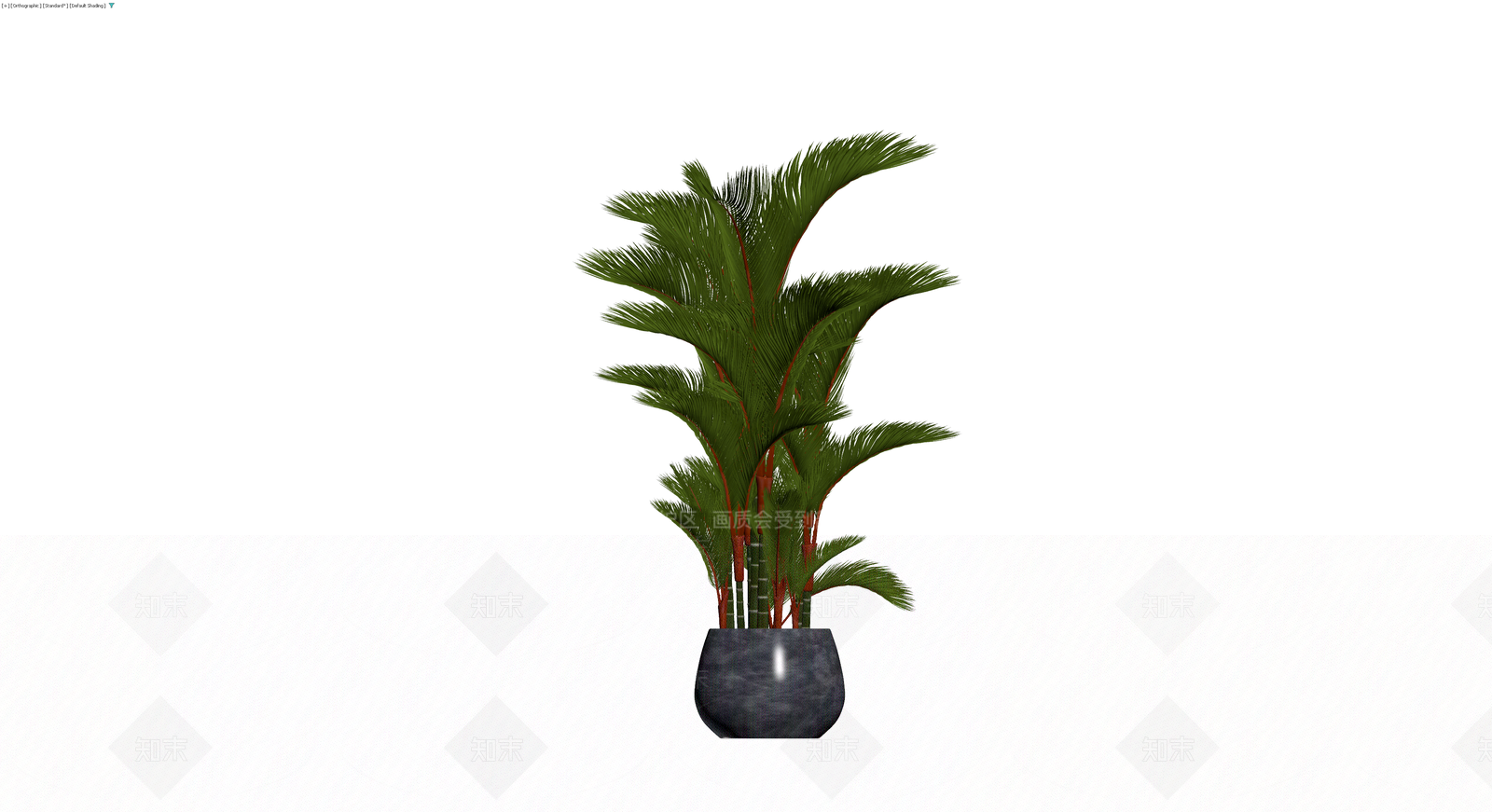 盆栽散尾葵绿植组合3D模型下载【ID:1230651690】