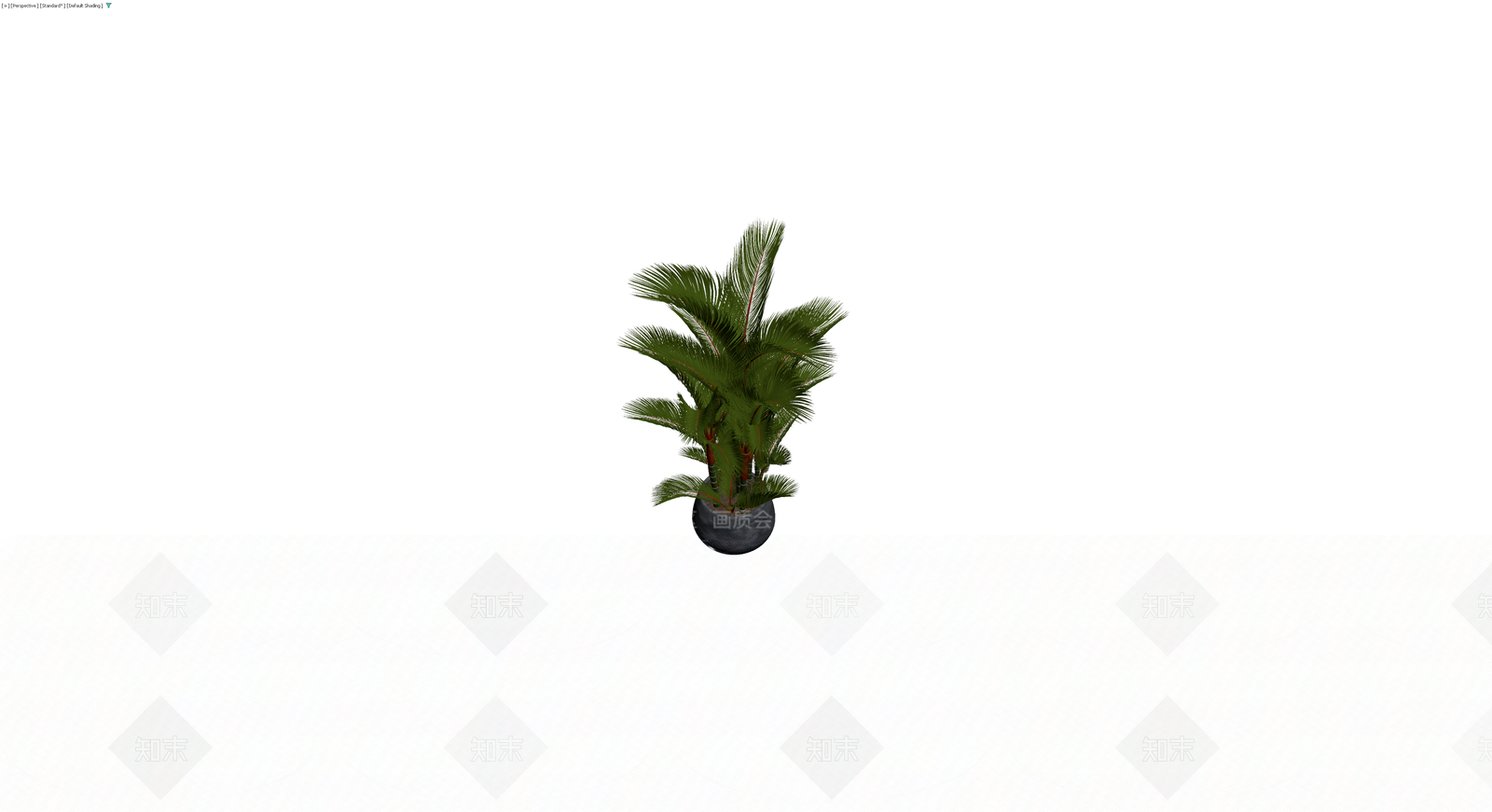 盆栽散尾葵绿植组合3D模型下载【ID:1230651690】