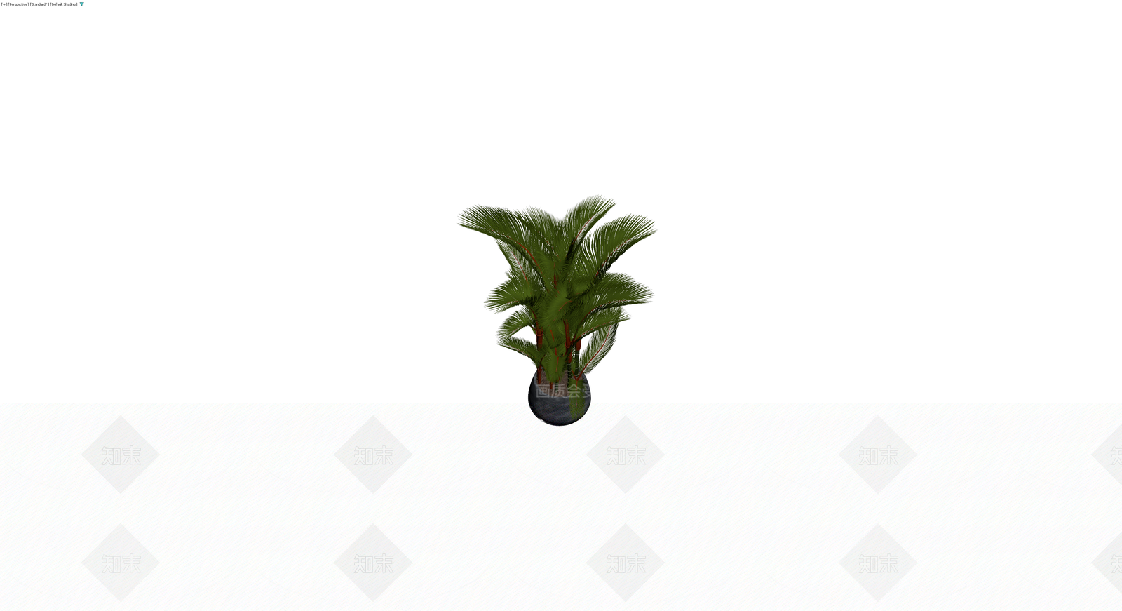 盆栽散尾葵绿植组合3D模型下载【ID:1230651690】