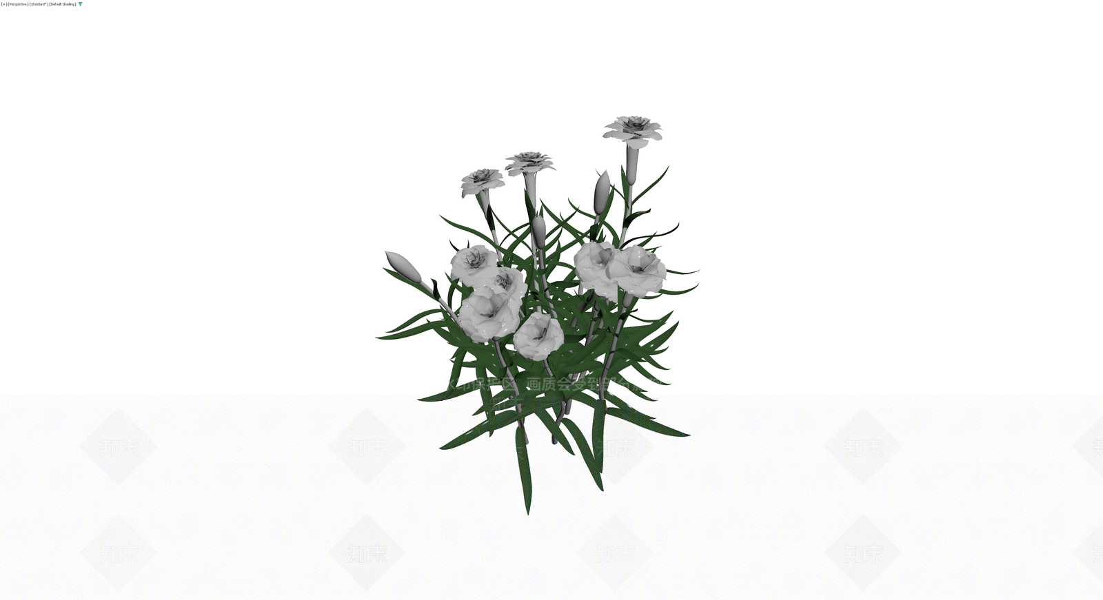 白康乃馨花草组合3D模型下载【ID:1230137809】